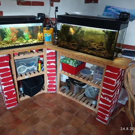 Habitación en casa particular U Nás V Moravské *