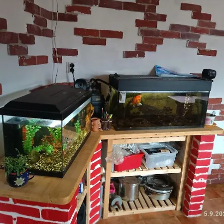 Habitación en casa particular U Nás V Moravské *